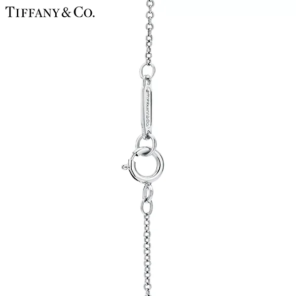 Return To Tiffany™ 系列 蒂芙尼純銀鑲粉色琺瑯Double Heart Tag迷你雙心吊墜項鍊